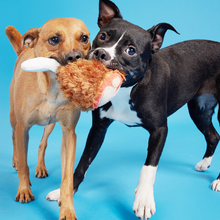 Load image into Gallery viewer, Bark Tavern Turkey Leg Dog Toy