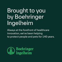 Load image into Gallery viewer, Frontline Plus Flea & Tick Treatment For Cats & Dogs