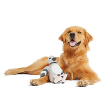 Load image into Gallery viewer, Bark Flappin' Flossie Dog Toy