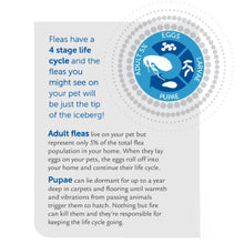 Load image into Gallery viewer, Virbac Indorex Defence Household Flea Spray 500ml