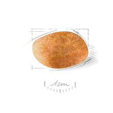 Load image into Gallery viewer, Royal Canin Dalmatian Food 12kg