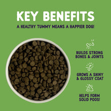 Load image into Gallery viewer, Burgess Sensitive Adult Dog Food In Lamb 2kg Or 12.5kg