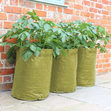 Load image into Gallery viewer, Haxnicks Patio Planters