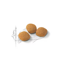 Load image into Gallery viewer, Royal Canin Protein Exigent Cat Food
