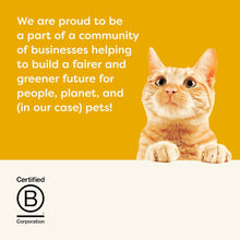 Load image into Gallery viewer, Applaws Kitten Chicken In Jelly 70g