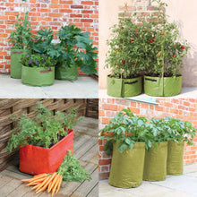 Load image into Gallery viewer, Haxnicks Patio Planters