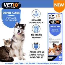 Load image into Gallery viewer, VETIQ Denti-Care Enzymatic Toothpaste 70g