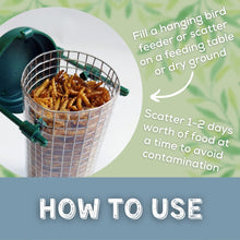 Load image into Gallery viewer, Copdock Mill Dried Mealworms Tubs 240g