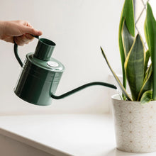 Load image into Gallery viewer, Kent & Stowe Indoor Metal Watering Can Sage Green 1L