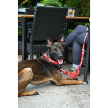 Load image into Gallery viewer, Twiggy Tags Awareness Collar