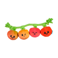Load image into Gallery viewer, Bark Hairloom Tomatoes Dog Toy