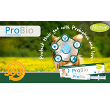 Load image into Gallery viewer, Mervue ProBio Paste For Dogs & Puppies Gastrointestinal/Gut Health & Immunity