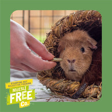 Load image into Gallery viewer, Burgess Excel Herby Hearts Treats For Small Animals 60g