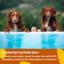 Load image into Gallery viewer, Hownd Hemp Paw Nose And Skin Balm 50g