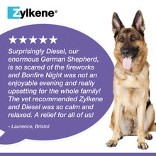 Load image into Gallery viewer, Zylkene Calming Supplement for Dogs 30-60kg
