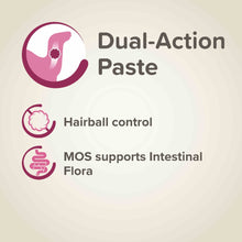 Load image into Gallery viewer, Beaphar Multi-Vitamin Malt Paste for Ferrets 100g