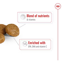 Load image into Gallery viewer, Royal Canin Dog X-Small Adult 8+ 1.5kg