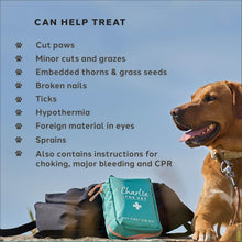 Load image into Gallery viewer, Charlie The Vet Pet First-Aid Kit