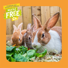 Load image into Gallery viewer, Burgess Excel Rabbit Food Nuggets With Oregano 1.5kg