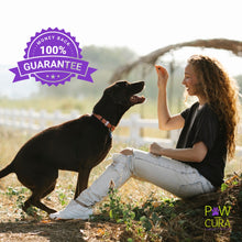 Load image into Gallery viewer, Paw-Cura Training Snapp-Eez Dog Treats 120g