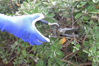 Load image into Gallery viewer, Spear & Jackson Kew Vintage Bypass + Anvil Secateur Set