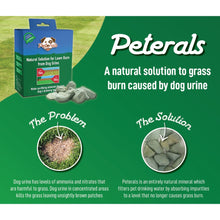 Load image into Gallery viewer, Peterals Eco-Friendly Rocks For Dog Urine Burn Patches