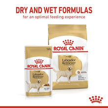 Load image into Gallery viewer, Royal Canin Labrador in Gravy Food 10 x 140g