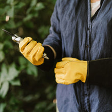Load image into Gallery viewer, Kent & Stowe Luxury Gauntlet Gloves