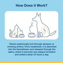 Load image into Gallery viewer, Plaqueoff Dental Support Powder Cat 40G