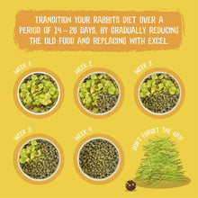 Load image into Gallery viewer, Burgess Excel Adult Rabbit Food Natures Blend With Hedgerow Herbs 1.5kg