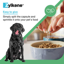 Load image into Gallery viewer, Zylkene Calming Supplement for Dogs 10-30kg