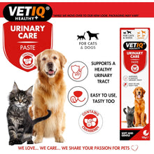 Load image into Gallery viewer, VETIQ Urinary Care Paste 100G