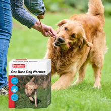 Load image into Gallery viewer, Beaphar One Dose Dog Wormer - 20-40kg 4 Tablets