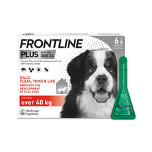 Load image into Gallery viewer, Frontline Plus Flea & Tick Treatment For Cats & Dogs
