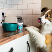 Load image into Gallery viewer, Proflax Plaque Patrol