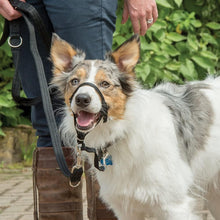 Load image into Gallery viewer, Halti Headcollar Padded Black Size Small