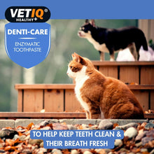 Load image into Gallery viewer, VETIQ Denti-Care Enzymatic Toothpaste 70g