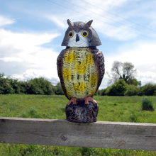 Load image into Gallery viewer, The Big Cheese Wind-Action Owl