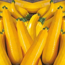 Load image into Gallery viewer, Courgette Lemona