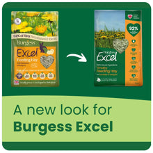 Load image into Gallery viewer, Burgess Excel Feeding Hay With Dandelion & Marigold 1kg