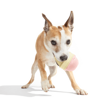 Load image into Gallery viewer, Bark I-Squeak Cone Dog Toy