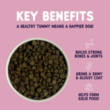 Load image into Gallery viewer, Burgess Sensitive Adult Dog Food In Salmon 2kg Or 12.5kg