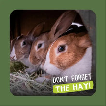 Load image into Gallery viewer, Burgess Excel Timothy Feeding Hay Box For Small Animals 4.5kg