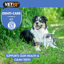 Load image into Gallery viewer, VETIQ Denti-Care Kit 70G