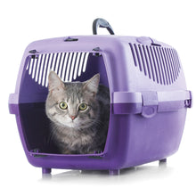 Load image into Gallery viewer, Beaphar CatComfort Calming Spray