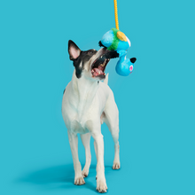 Load image into Gallery viewer, Bark Ani The Nene Goose Dog Toy
