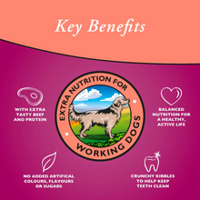 Load image into Gallery viewer, Arkwrights Complete Food For Working Dogs | Chicken | Beef