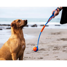 Load image into Gallery viewer, Chuckit! Fetch & Fold Dog Ball Launcher
