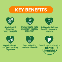 Load image into Gallery viewer, Burgess Excel Adult Guinea Pig Nuggets with Mint