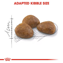 Load image into Gallery viewer, Royal Canin Cat Food Outdoor 7+